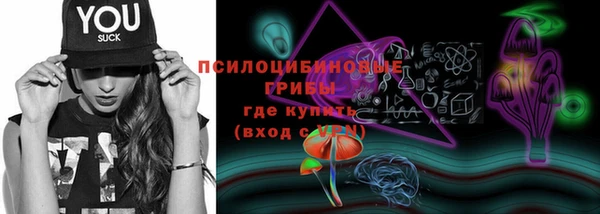 дживик Белокуриха